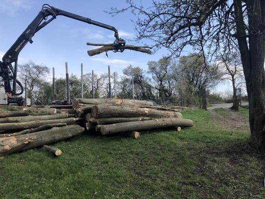 Pitzke Holz Garten Service