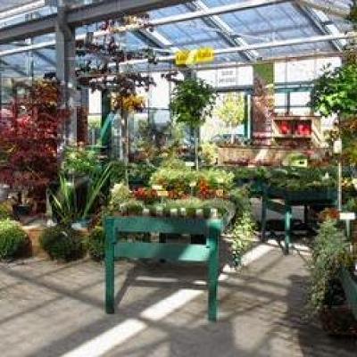GartenBaumschule Fuhs, Michael Fuhs