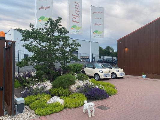 Plant GaLaBau GmbH