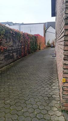 Garten -Landschaft-Service Georg Otto