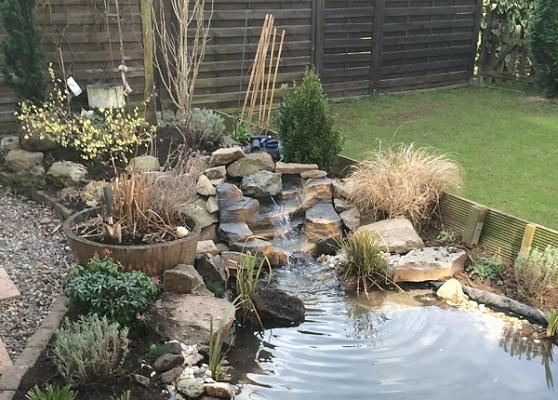 Schmidt & Knoke GbR Siegburg - Gartenpflege | Landschaftsbau | Pflasterarbeiten | Teichbau