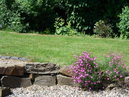 Natur Art Gartengestaltung