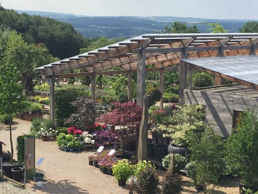 kremer, Baumschule + Gartengestaltung