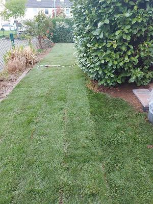 Baum bis Hecke GaLaBau