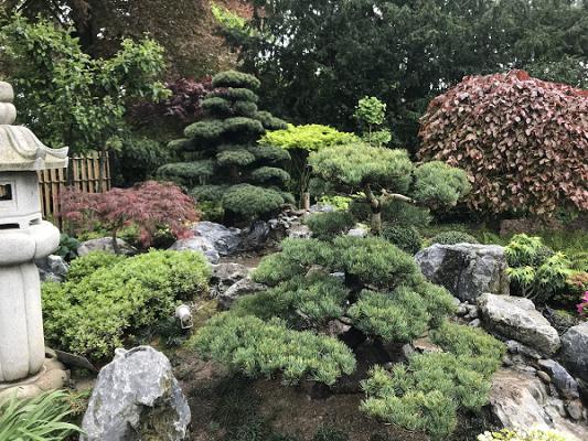 Astwerk - Niels Beyer