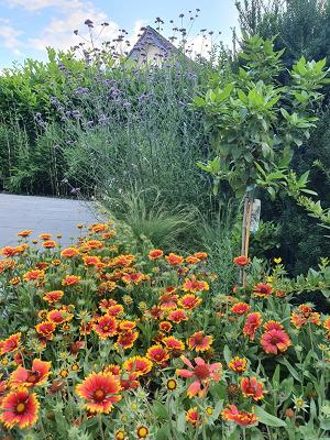 Garten- und Hausmeisterservice Dahlke