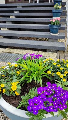 Gartencenter Geschwind