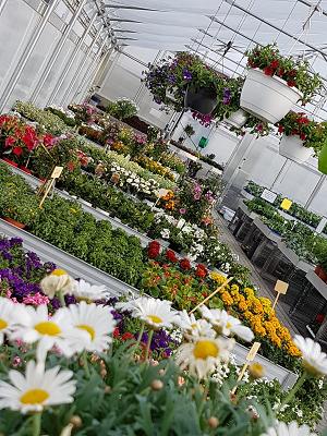 Baumschule und Gartenbau van Pütten GbR