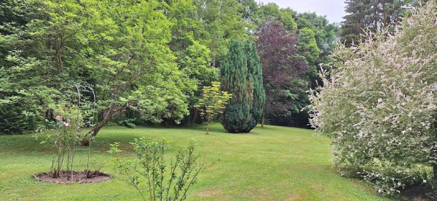 Thomas Brendel Grünpflege