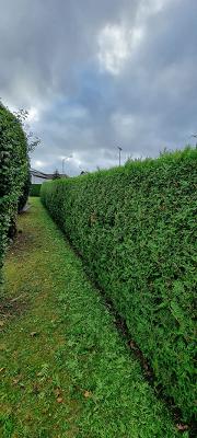 Jakupi Haus und Gartenservice