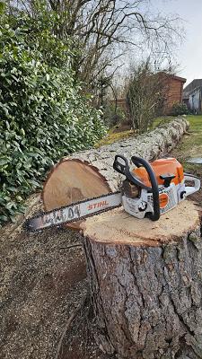 Vision Grün Garten- und Landschaftsbau GmbH