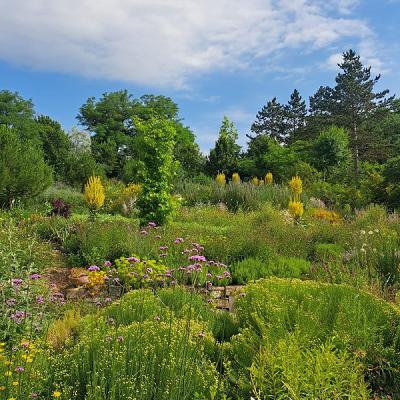 Nachtigallenhof Staudengarten Garten-Café Gärtnerei