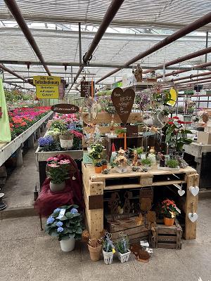 Andreas Kreis Gärtnerei