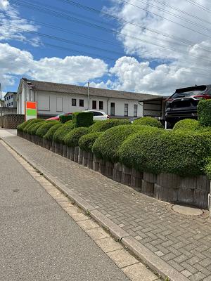 Landschaftsgärtner & Baumschulgärtner Brausch
