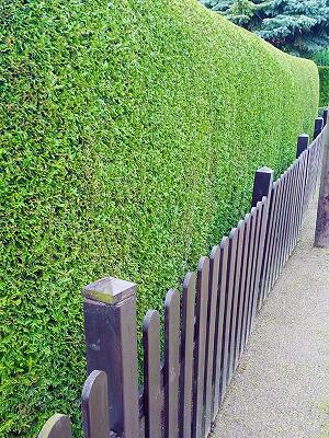 Haus - Gartenservice - Koblenz