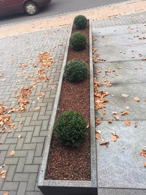 Garten- und Landschaftsbau Daniel Hess