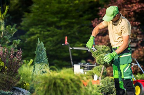 GB-Gartenservice - Gartenpflege & Gestaltung