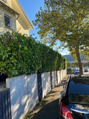 Begu - Gartengestaltung & Hausmeisterservive