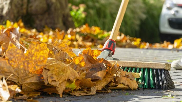 Hausmeister und Gartenservice Geisler