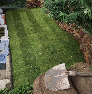 Wenzelmann FACILITY CARE Gebäude- und Immobilienservice