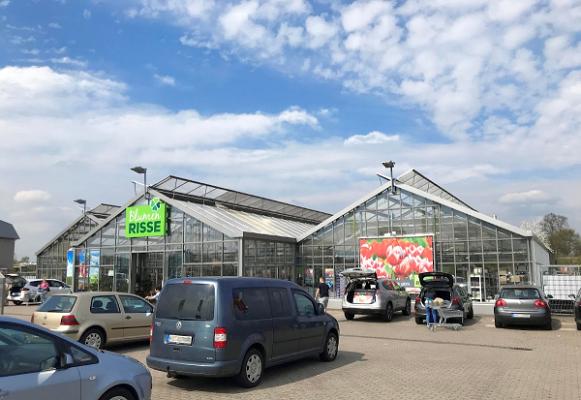 Blumen Risse Blumenmarkt Mülheim-Kärlich