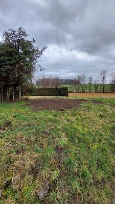 Sinn Gartengestaltung