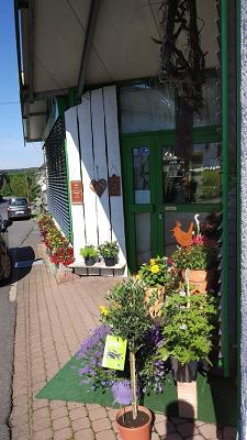 Westerwaldgärtnerei Blumen Rudolph