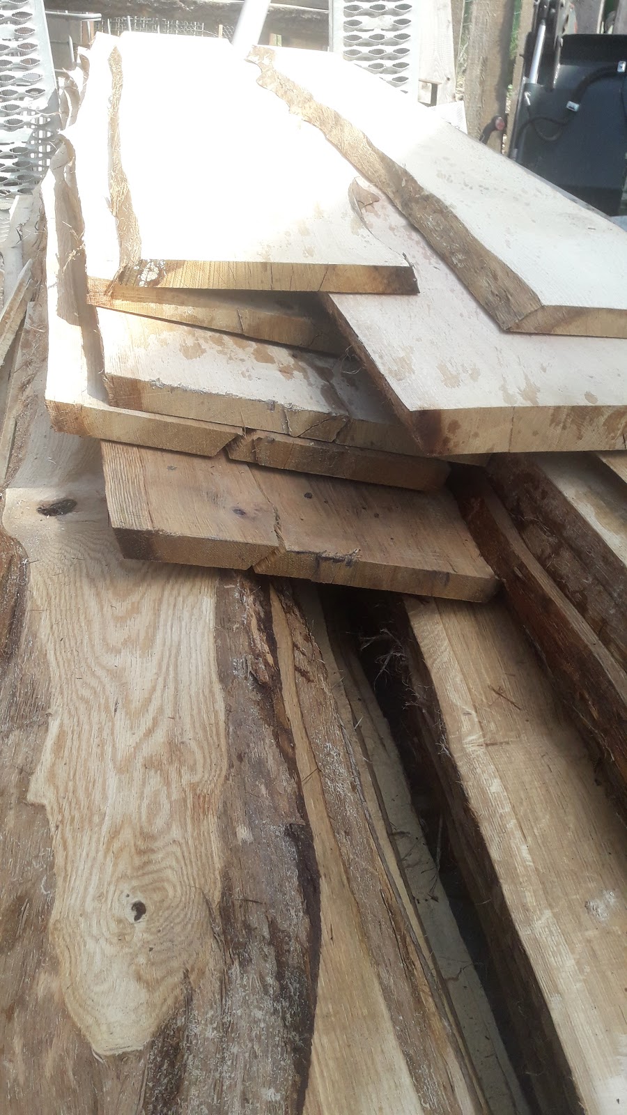 Erik Baumpflege und Fällungen Giese