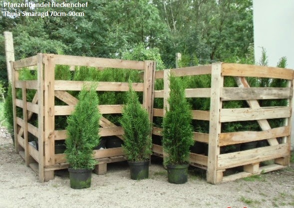 Pflanzenhandel Heckenchef